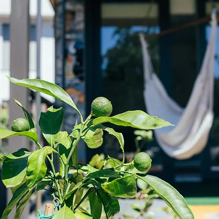 Artrock بيت للعطل