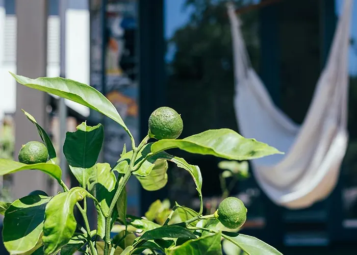 Artrock Vakantiehuis